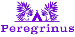 Peregrinus